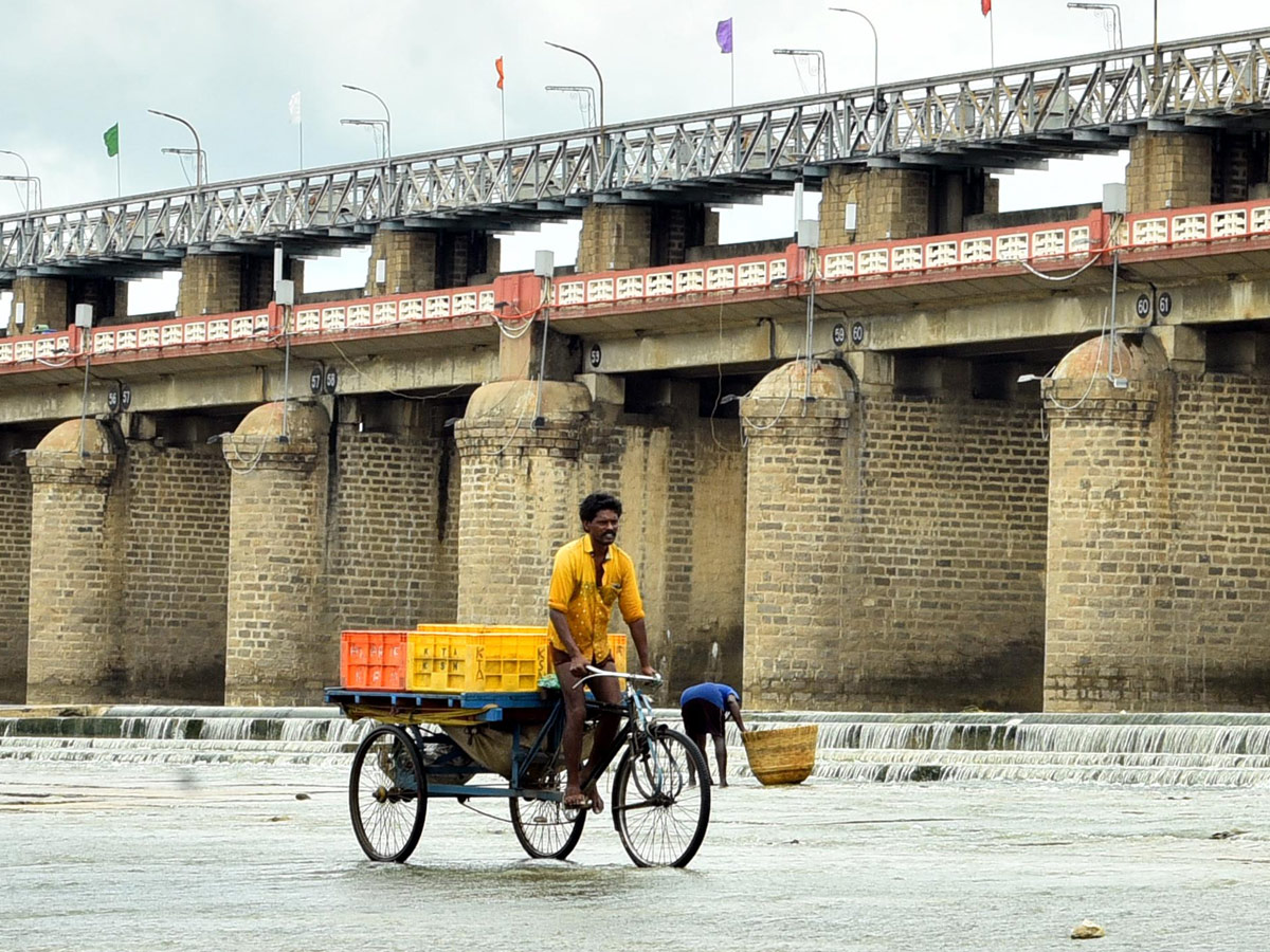 Best photos of the week july 26 to 02,2020 August - Sakshi59
