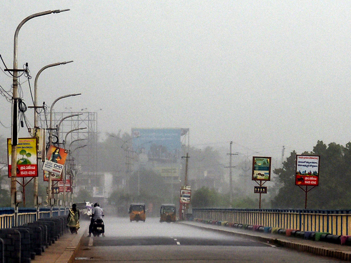 Best photos of the week july 26 to 02,2020 August - Sakshi62