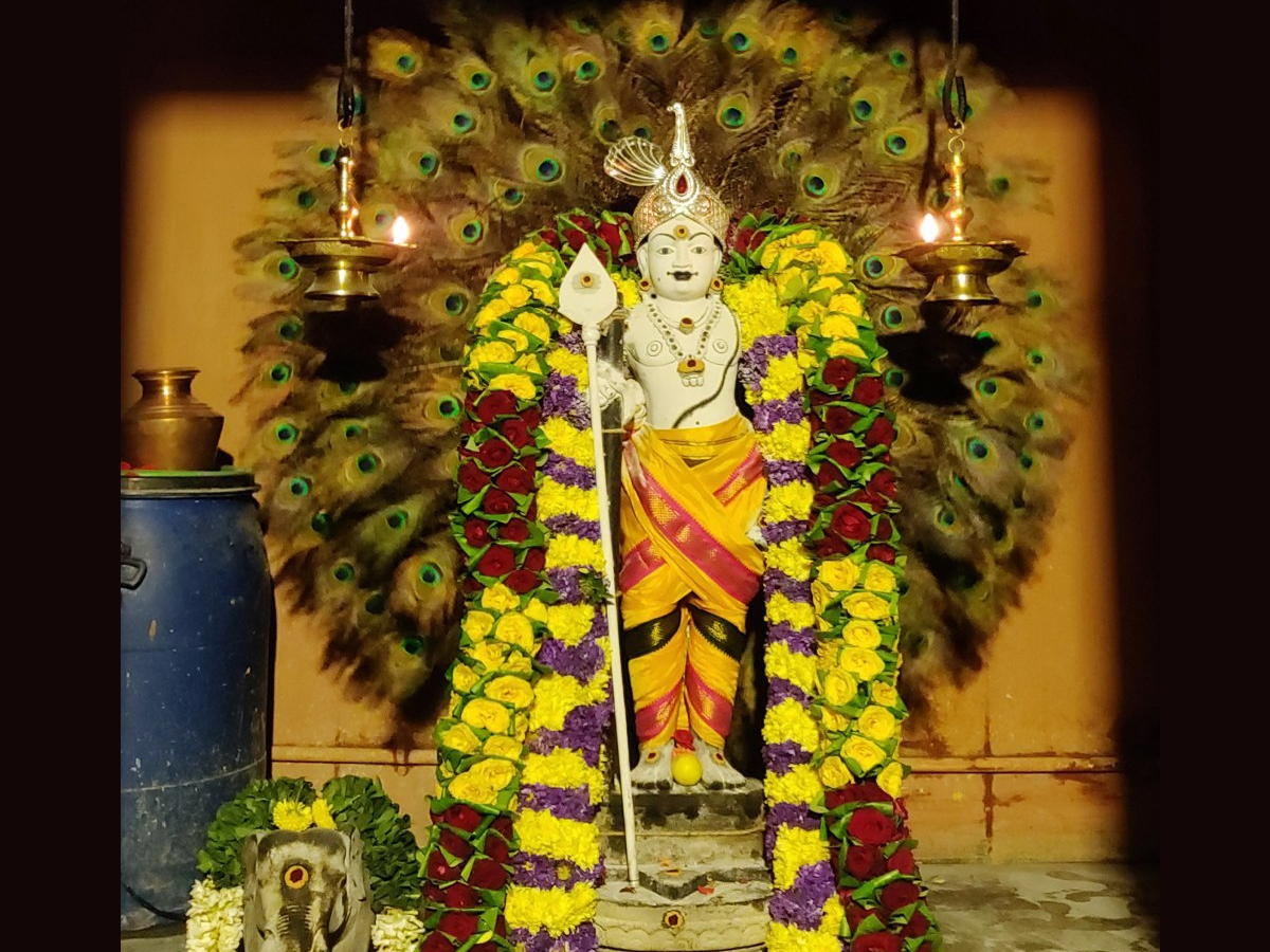 Aadi Krithigai Festival 2020 Photo Gallery - Sakshi12