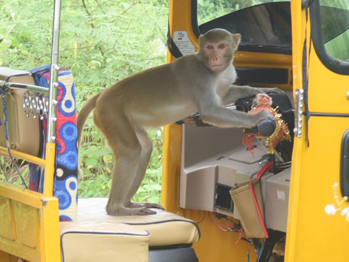 Best photos of the week  August 23 to August 30,2020 Photo Gallery - Sakshi2