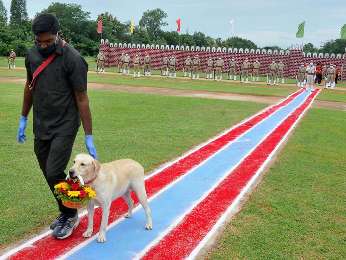  Best photos of the week  August 23 to August 30,2020 Photo Gallery - Sakshi55
