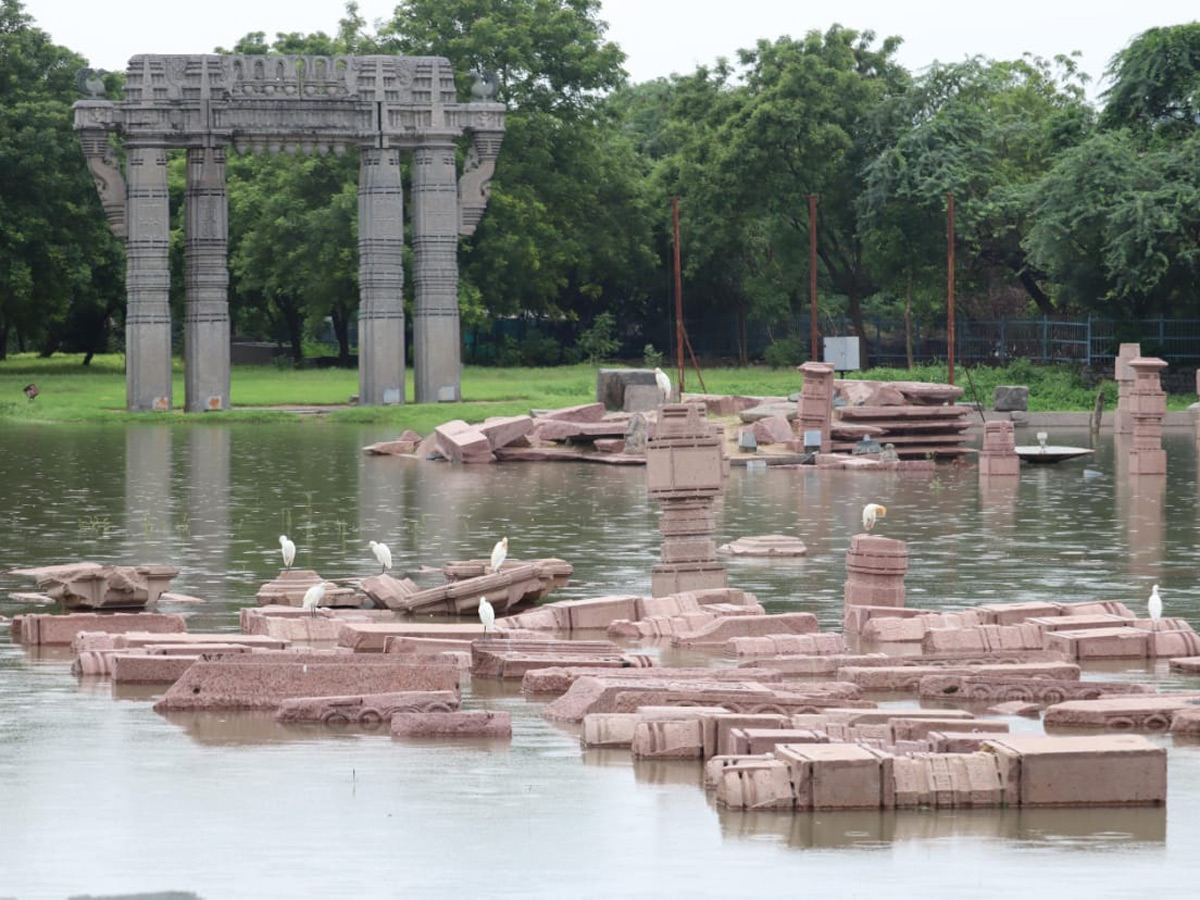  Best photos of the week  August 23 to August 30,2020 Photo Gallery - Sakshi60