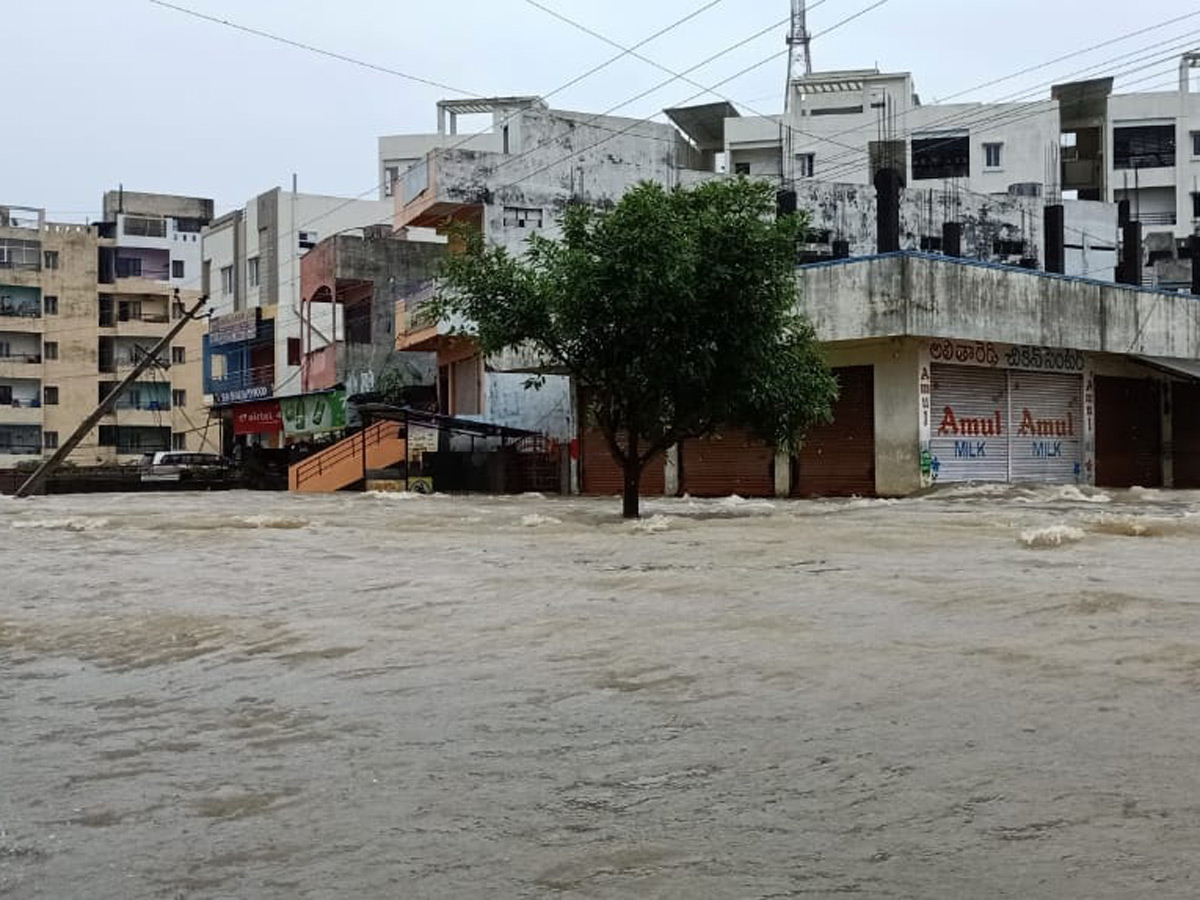  Best photos of the week  August 23 to August 30,2020 Photo Gallery - Sakshi65