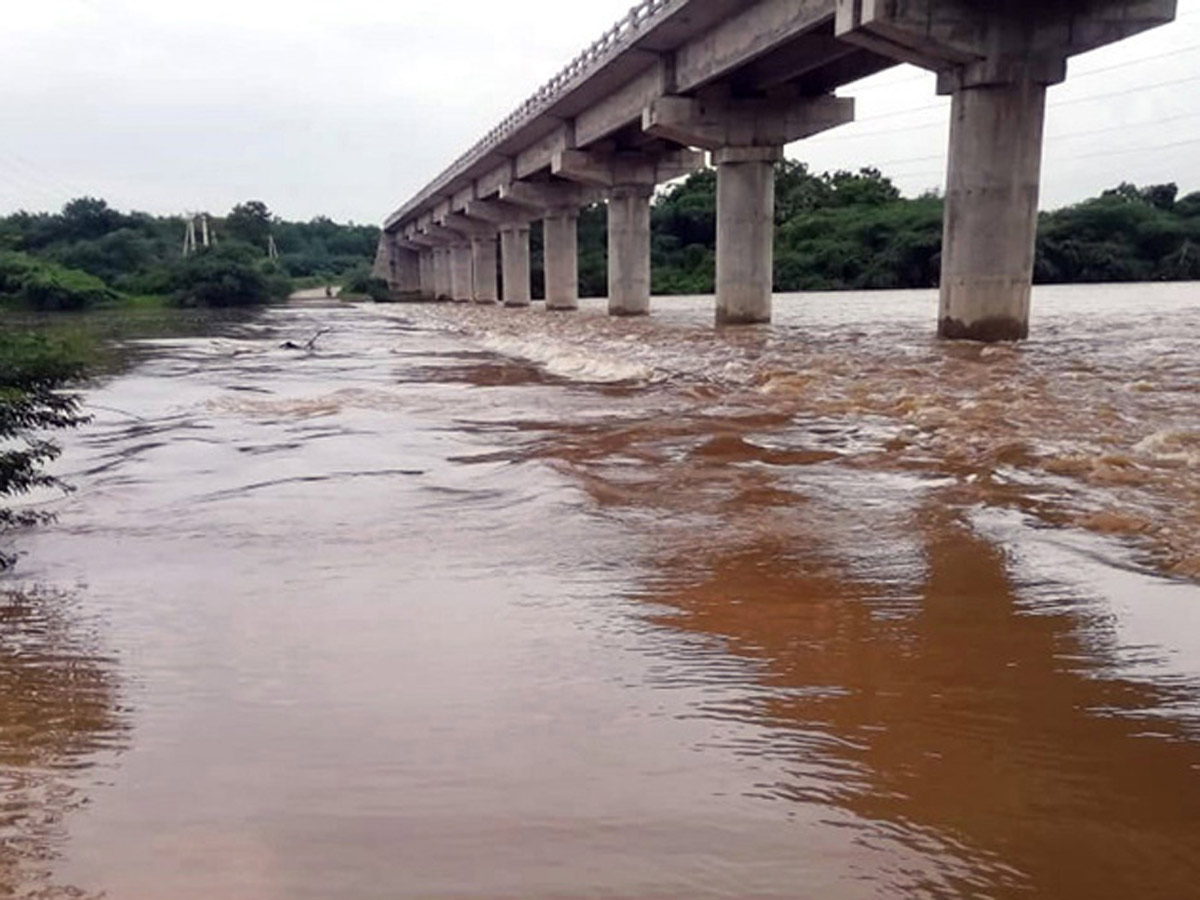 Heavy Rain in Andhra Pradesh Photo Gallery - Sakshi16