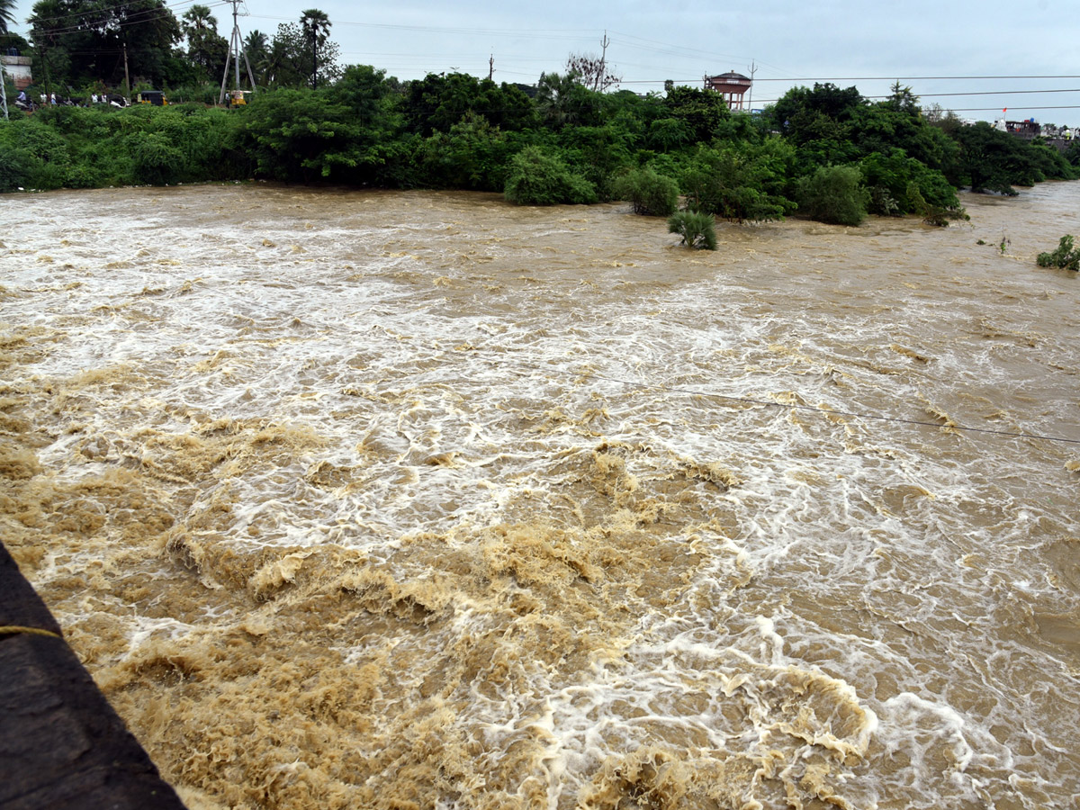 Heavy Rain in Andhra Pradesh Photo Gallery - Sakshi2