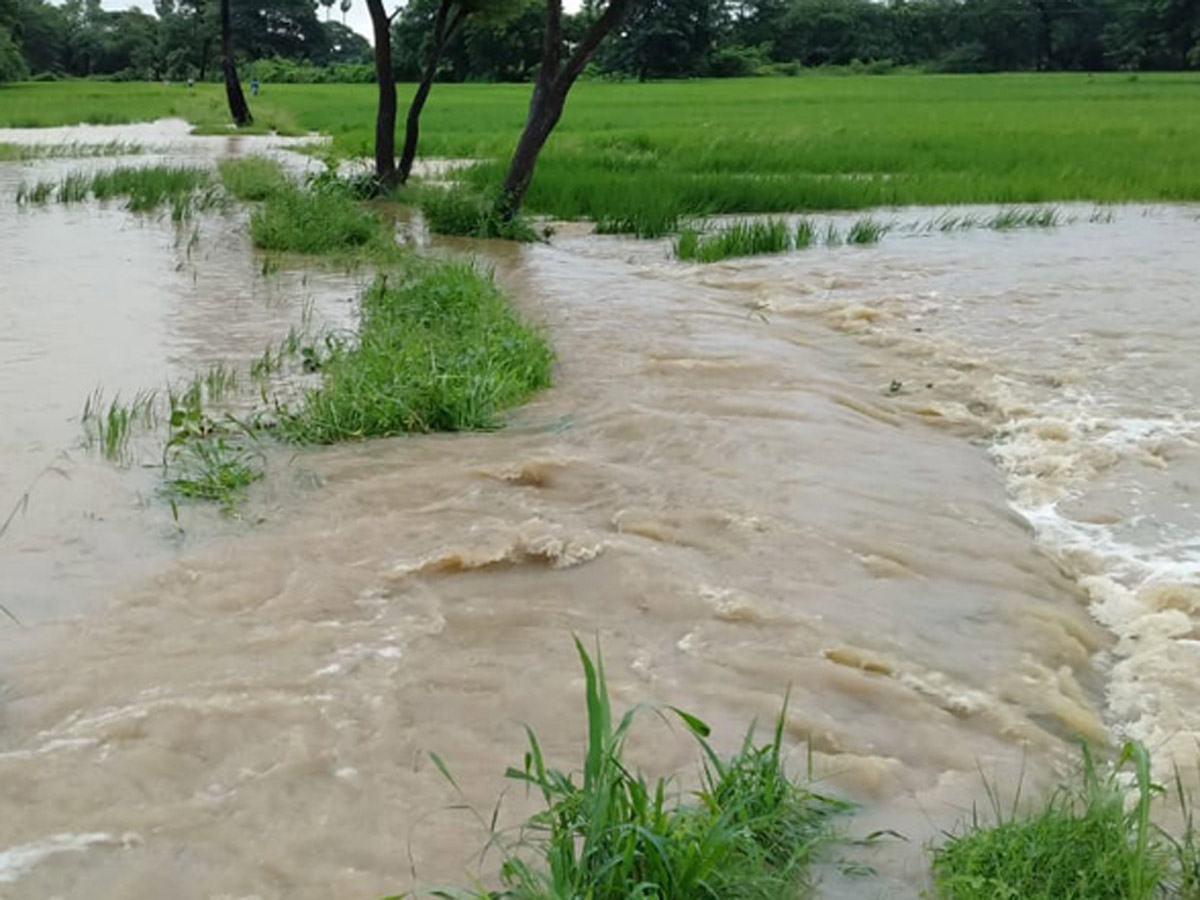 Heavy Rain in Andhra Pradesh Photo Gallery - Sakshi22