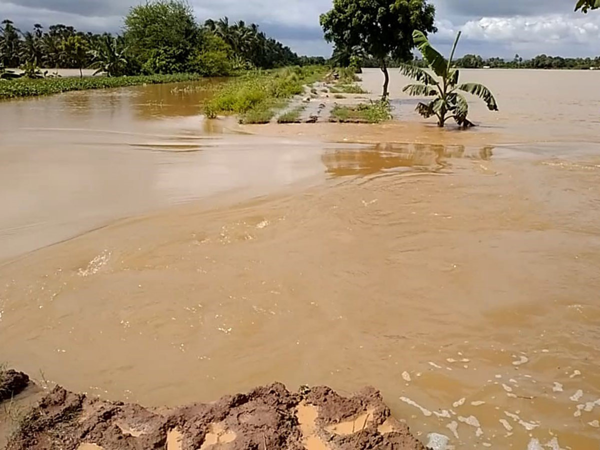 Heavy Rain in Andhra Pradesh Photo Gallery - Sakshi29