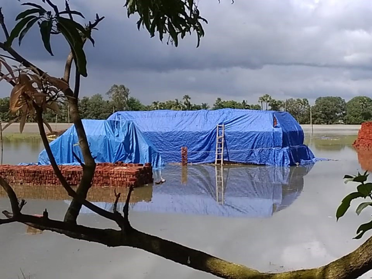 Heavy Rain in Andhra Pradesh Photo Gallery - Sakshi31