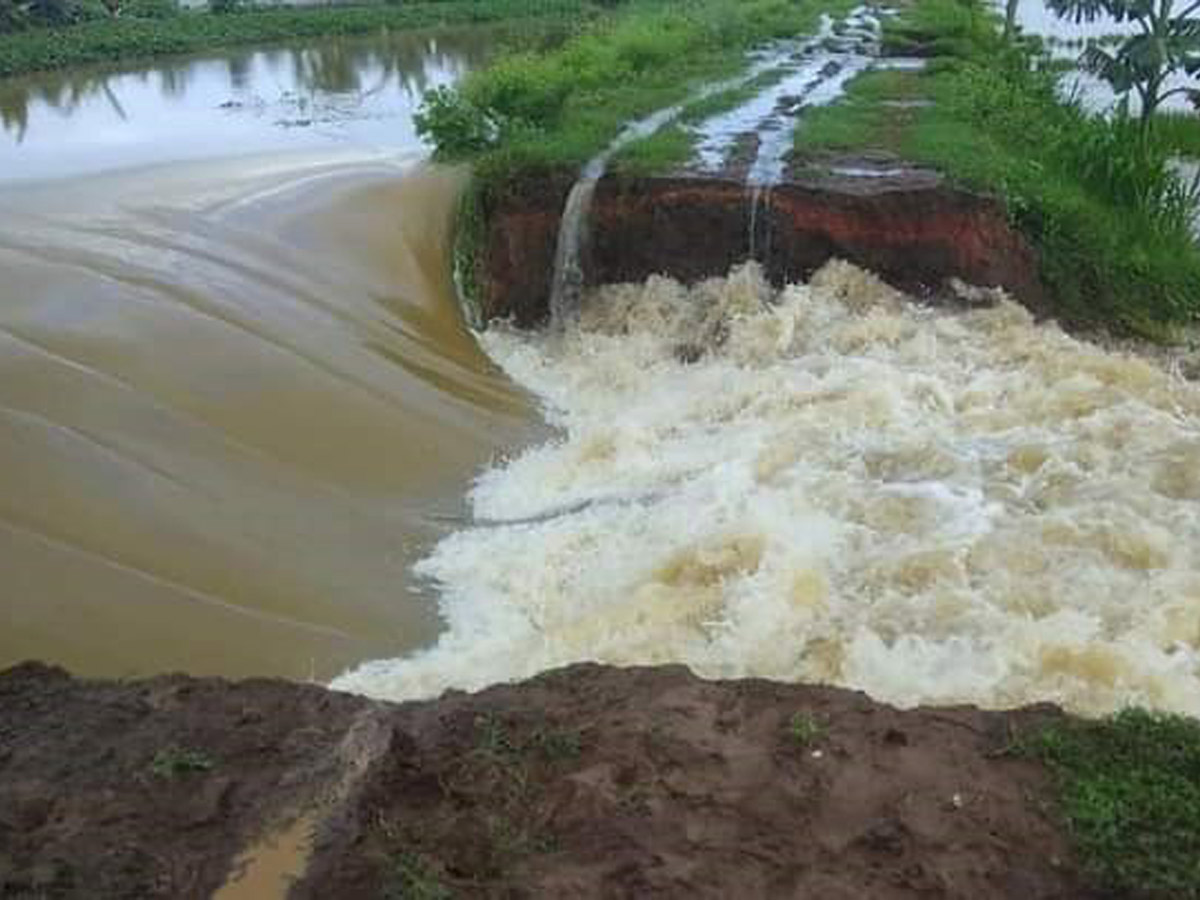 Heavy Rain in Andhra Pradesh Photo Gallery - Sakshi32