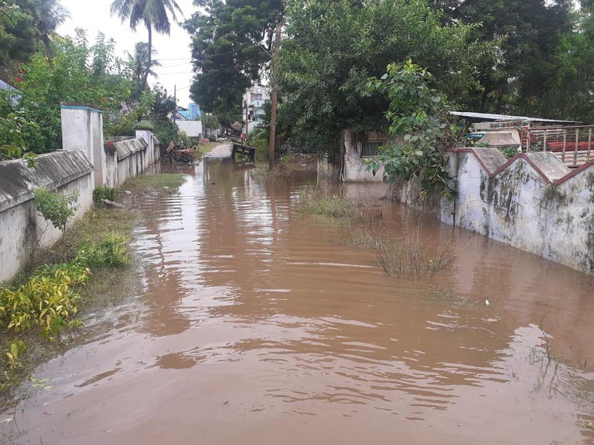 Heavy Rain in Andhra Pradesh Photo Gallery - Sakshi35