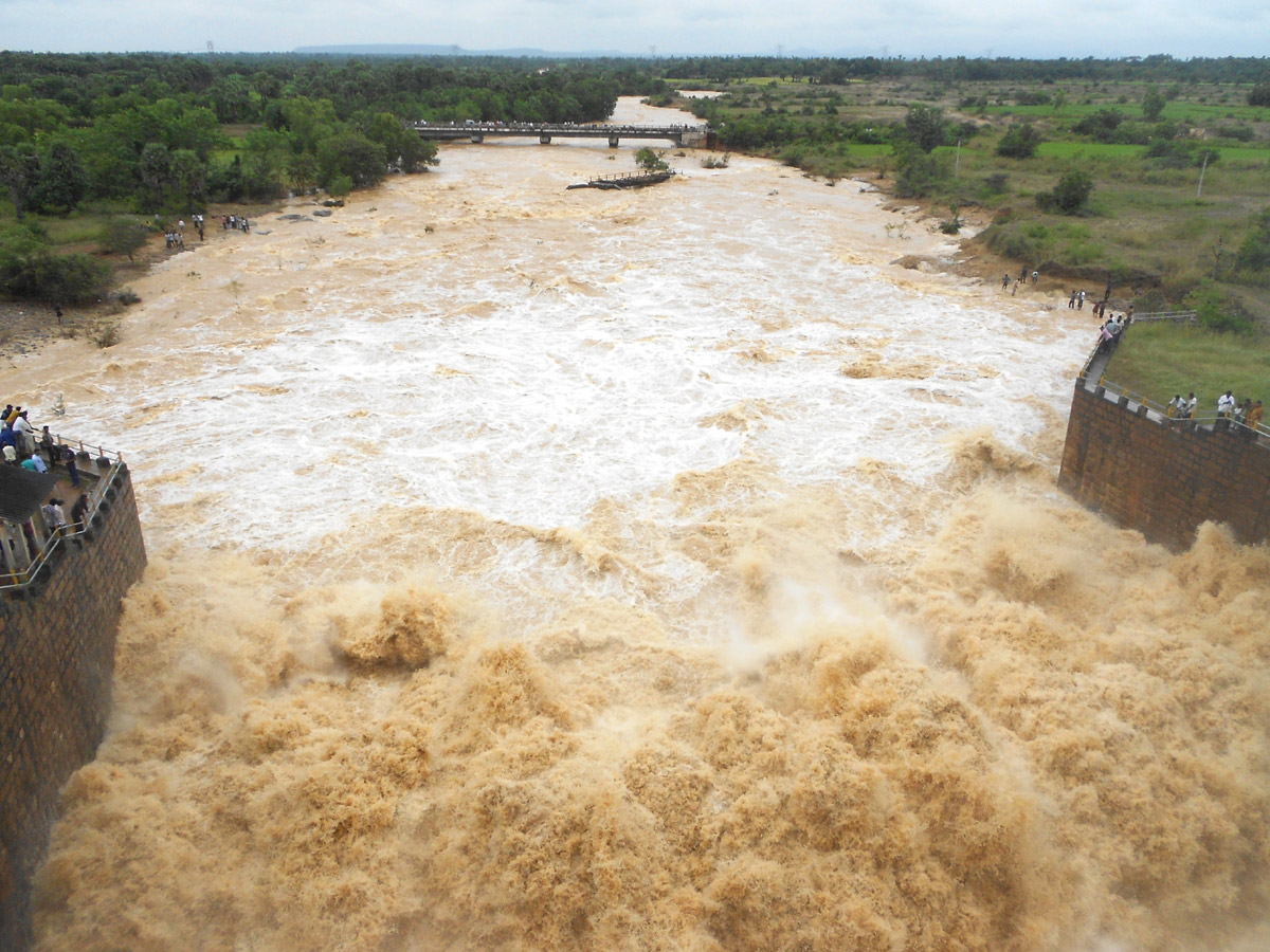 Heavy Rain in Andhra Pradesh Photo Gallery - Sakshi44