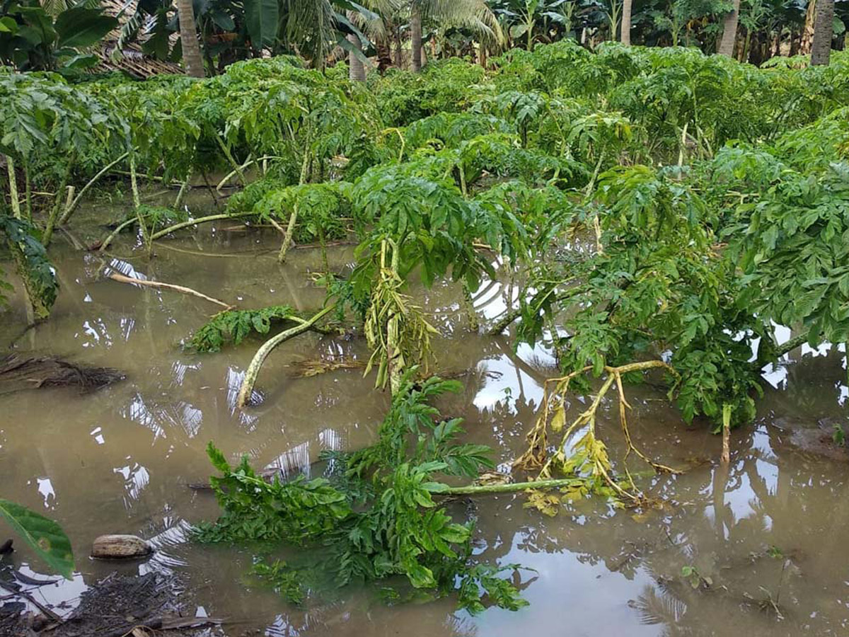 Heavy Rain in Andhra Pradesh Photo Gallery - Sakshi45