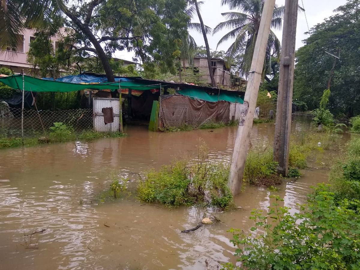 Heavy Rain in Andhra Pradesh Photo Gallery - Sakshi49