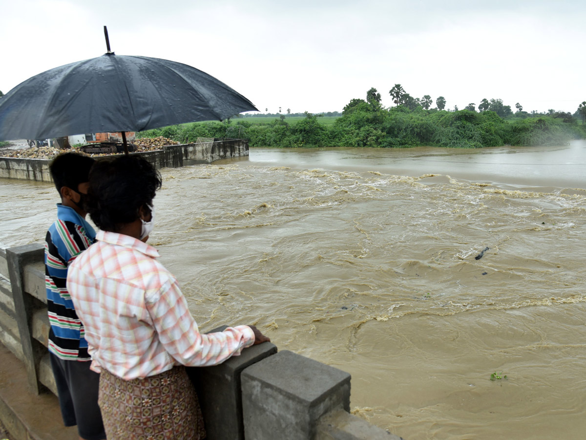 Heavy Rain in Andhra Pradesh Photo Gallery - Sakshi50