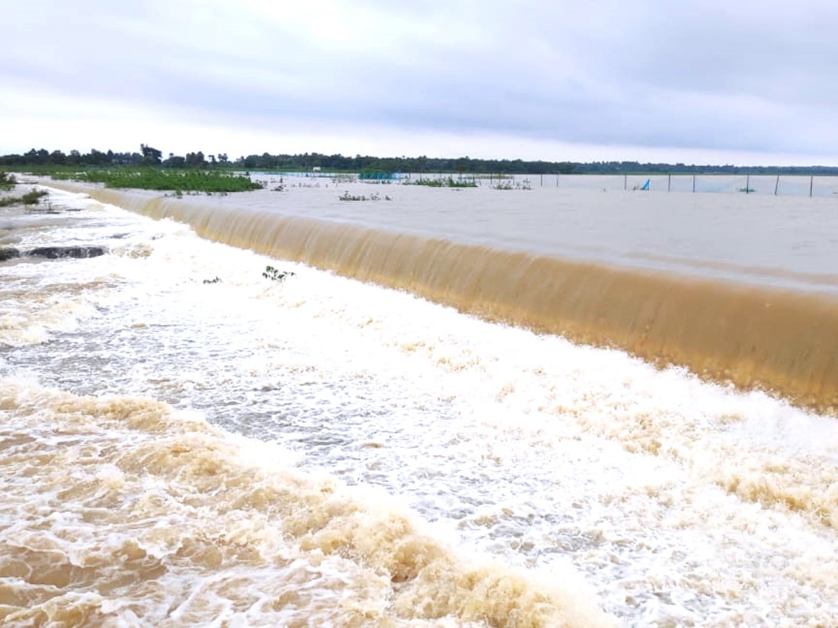 Heavy Rain in Andhra Pradesh Photo Gallery - Sakshi53