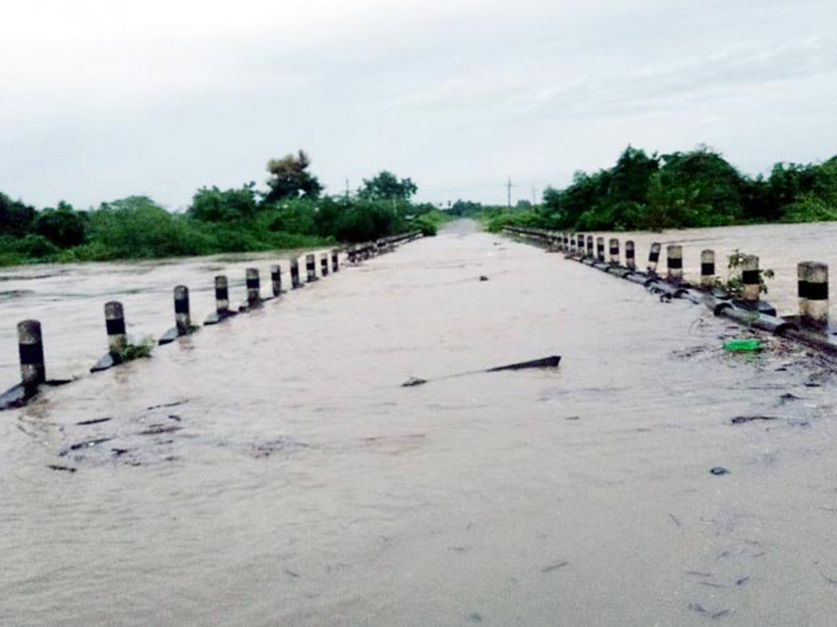 Heavy Rain in Andhra Pradesh Photo Gallery - Sakshi56