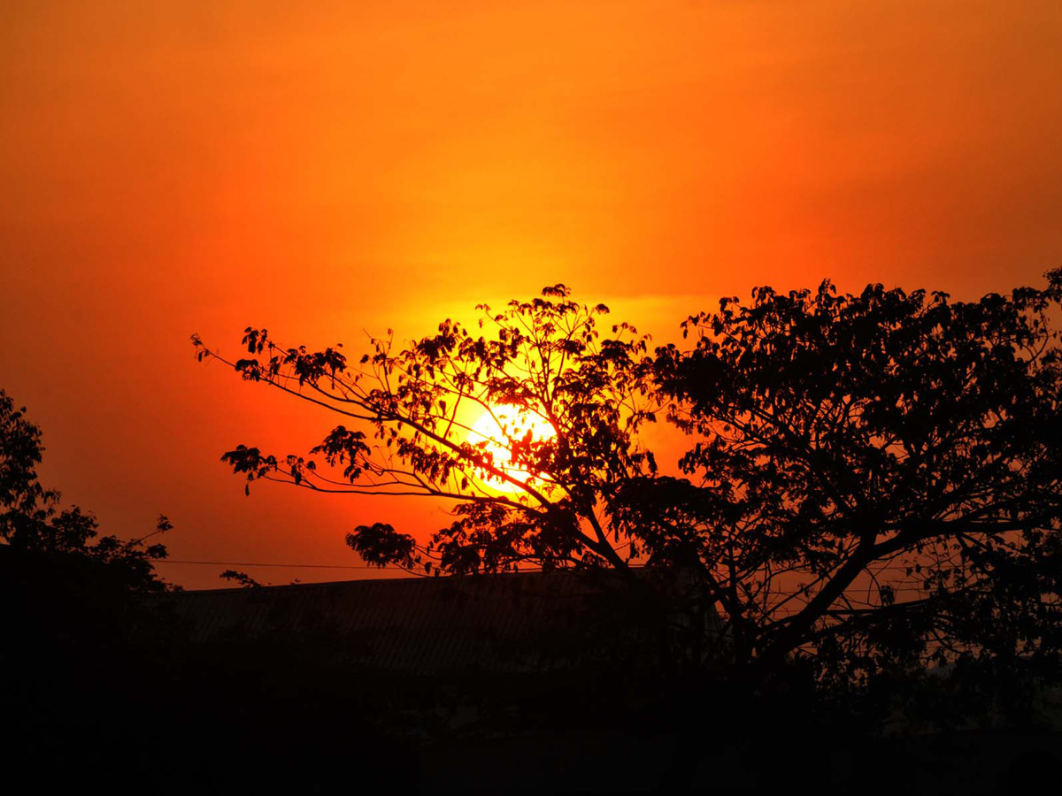  Best photos of the week  september 27 to october 04,2020 Photo Gallery - Sakshi27
