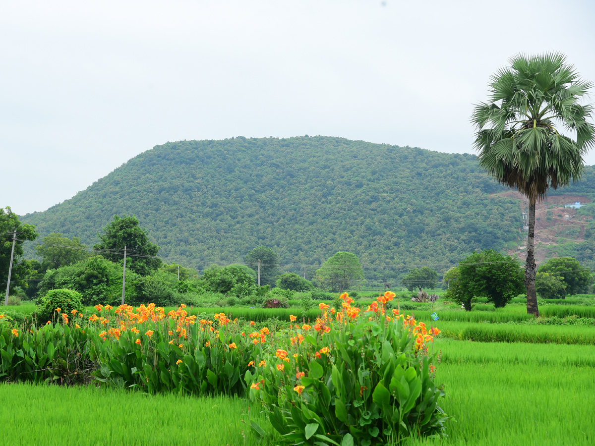  Best photos of the week  september 27 to october 04,2020 Photo Gallery - Sakshi35
