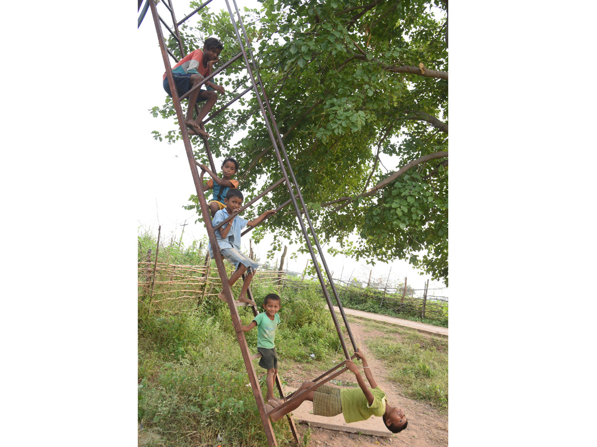 Best photos of the week october 11 to october 18,2020 Photo Gallery - Sakshi40