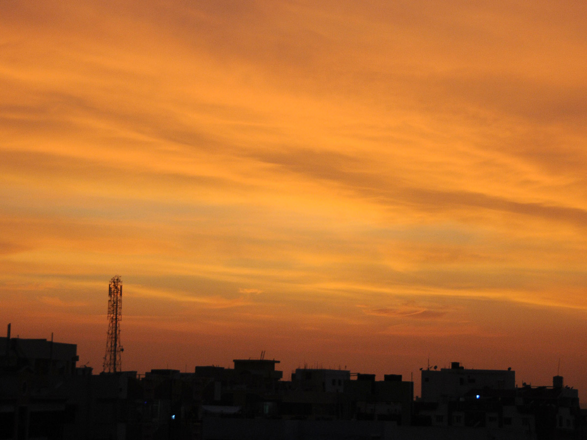 Best photos of the week october 25 to november 01,2020 Photo Gallery - Sakshi13