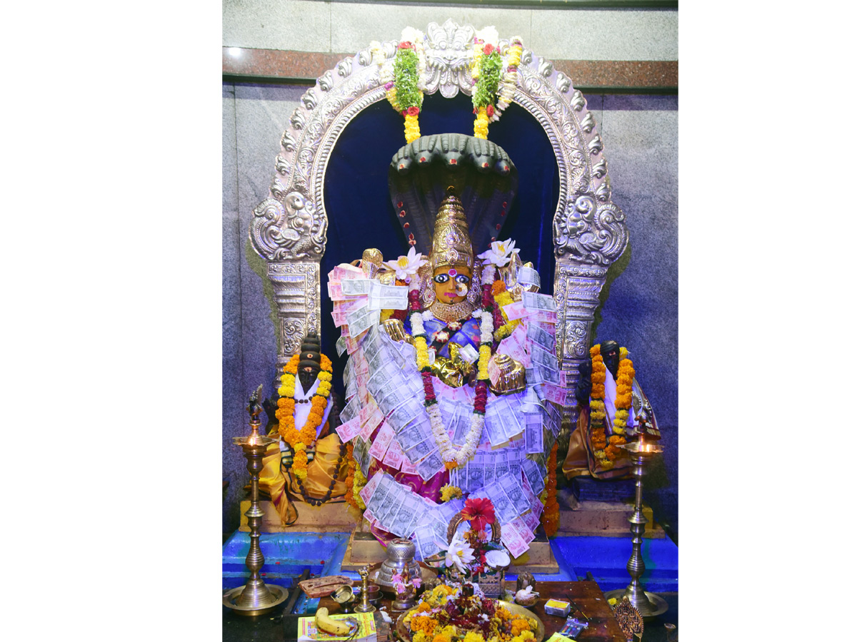 Best photos of the week october 25 to november 01,2020 Photo Gallery - Sakshi4