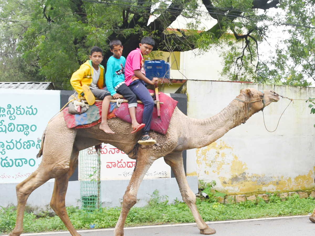 Best photos of the week october 25 to november 01,2020 Photo Gallery - Sakshi36