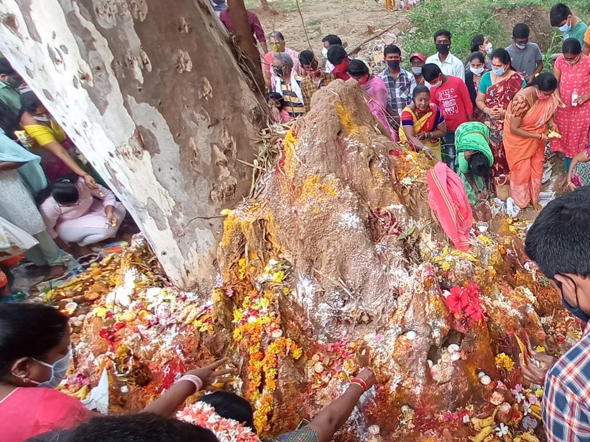 Nagula Chavithi 2020 Celebrations Photo Gallery - Sakshi30