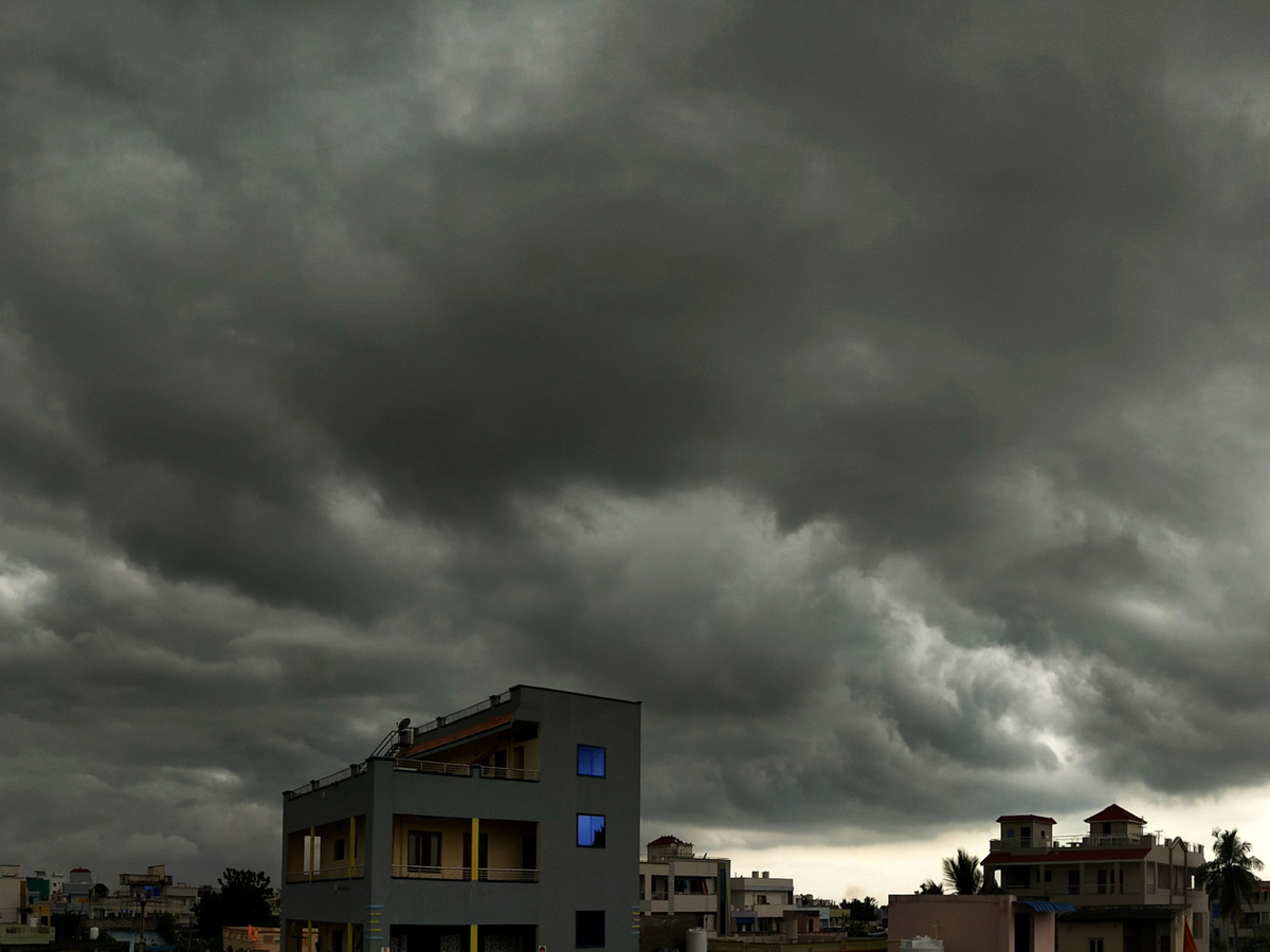 Best photos of the week november 22 to november 29,2020 Photo Gallery - Sakshi45