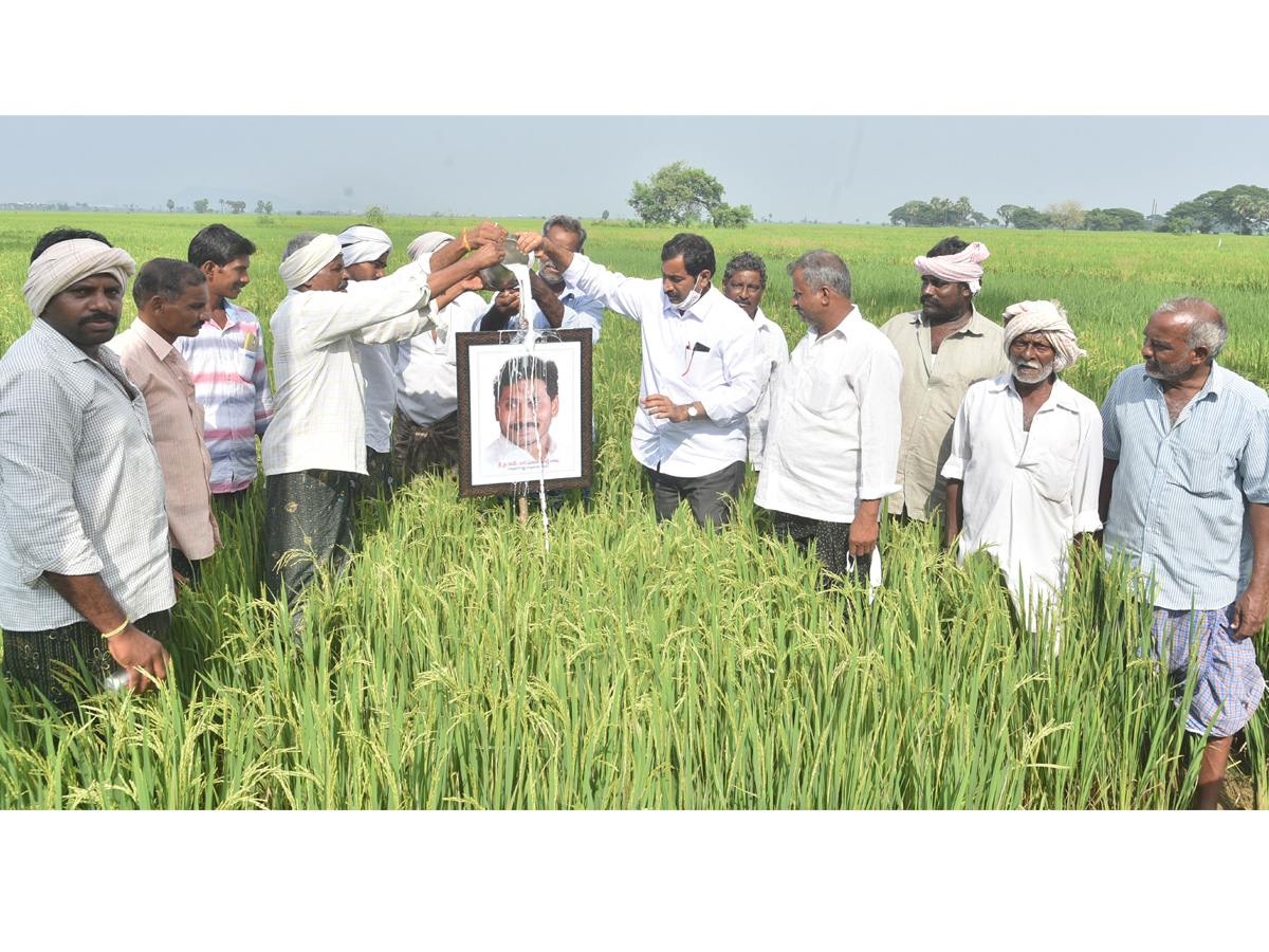 Best photos of the week november 29 to December 06,2020 Photo Gallery - Sakshi26