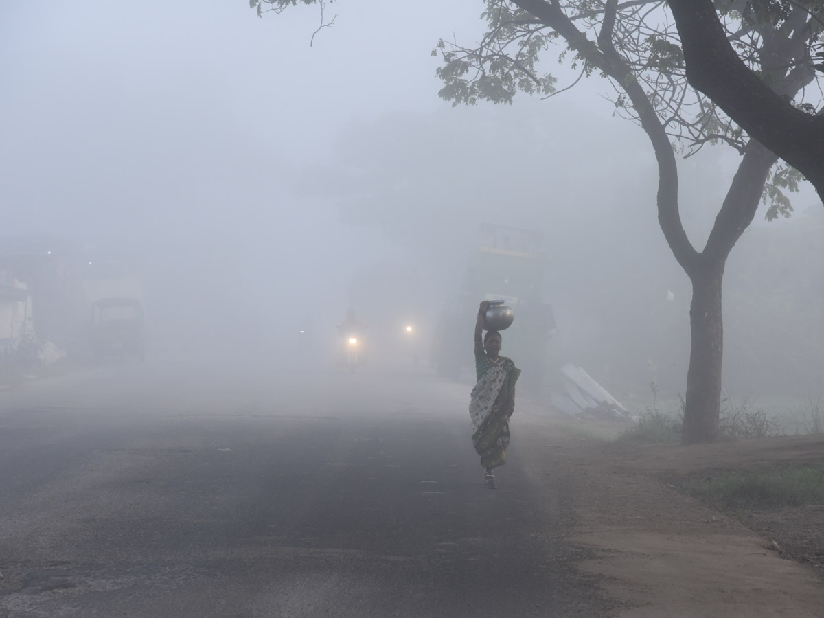 Best photos of the week november 29 to December 06,2020 Photo Gallery - Sakshi41