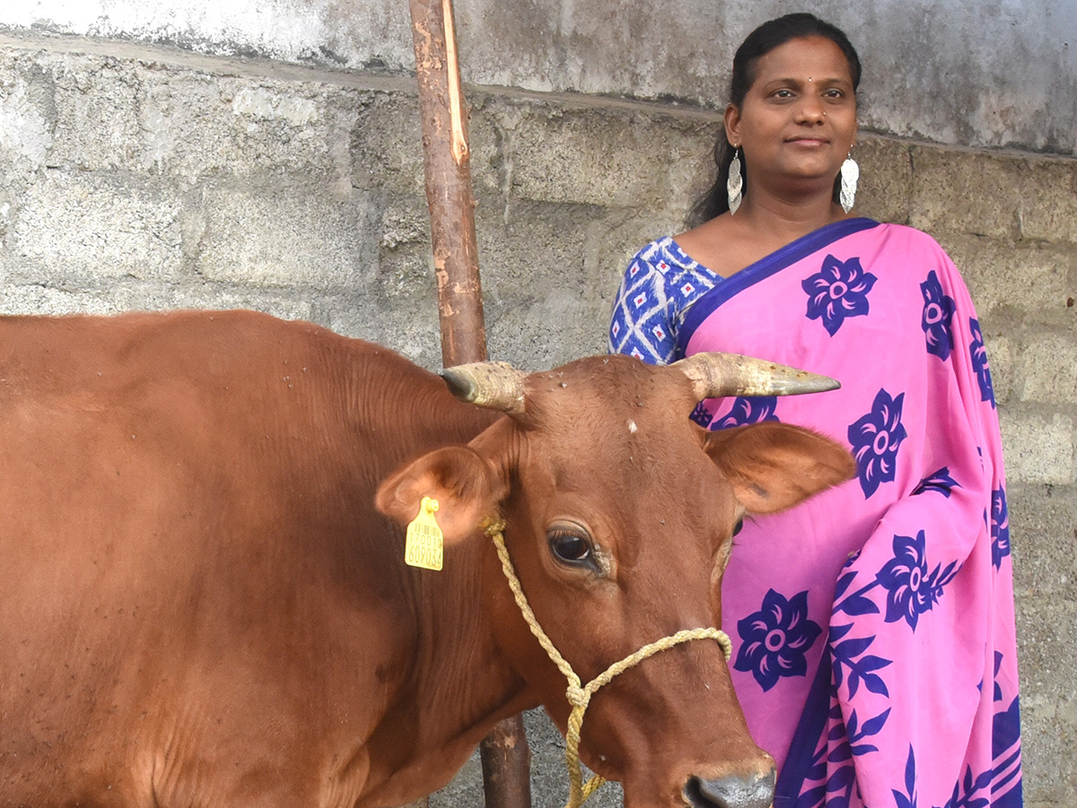 Transgenders Doing Self Employement In Kuthubullar At Hyderabad - Sakshi4