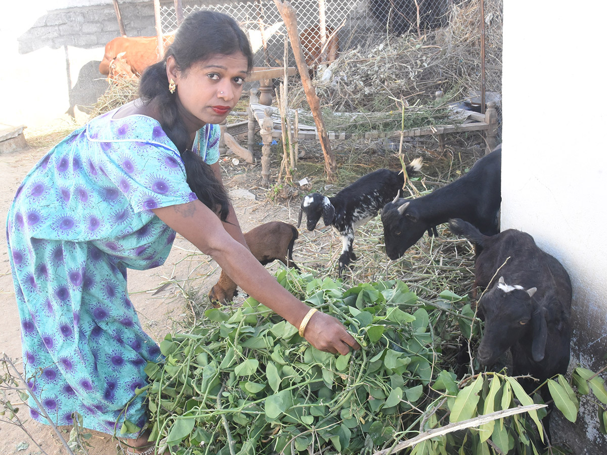 Transgenders Doing Self Employement In Kuthubullar At Hyderabad - Sakshi8