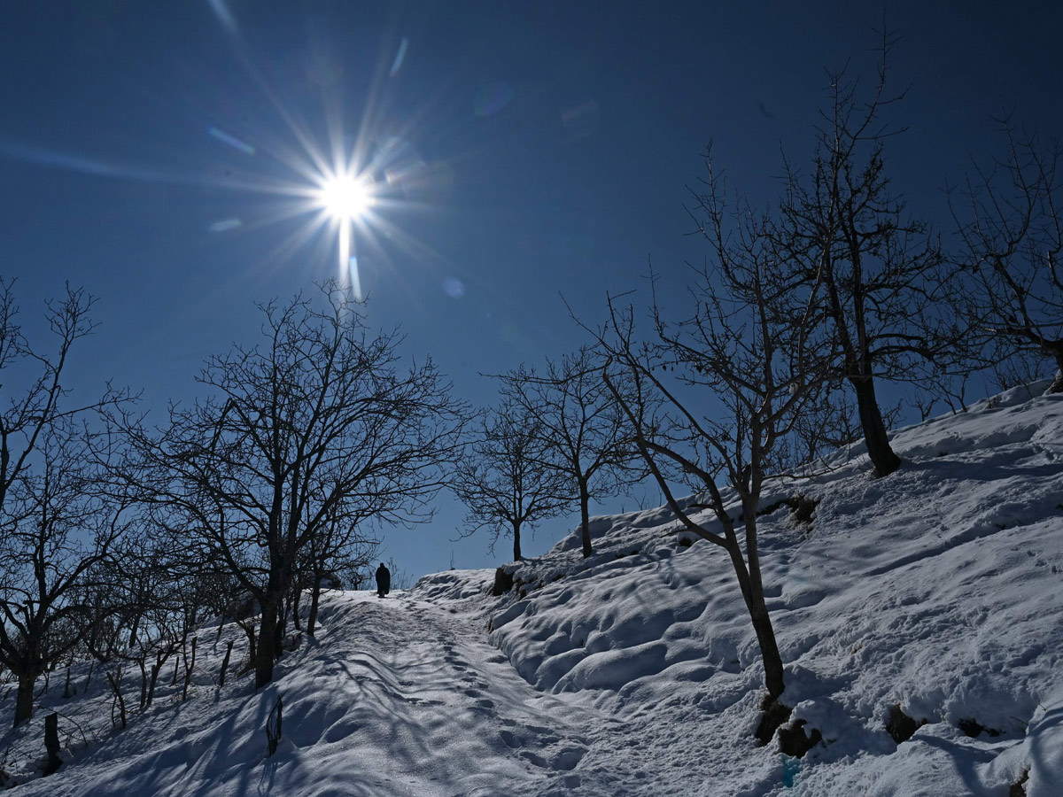 Heavy Snowfall In Jammu Kashmir Photo Gallery - Sakshi1