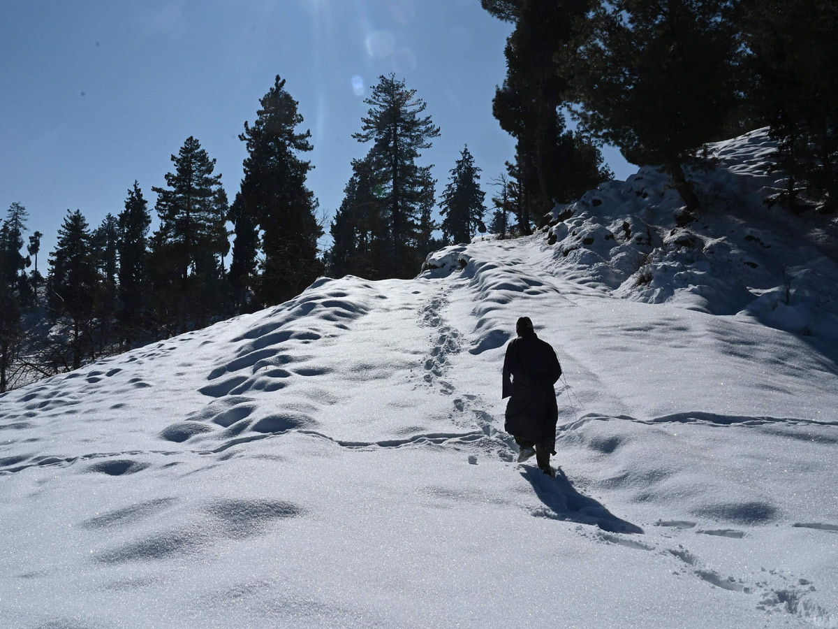 Heavy Snowfall In Jammu Kashmir Photo Gallery - Sakshi16