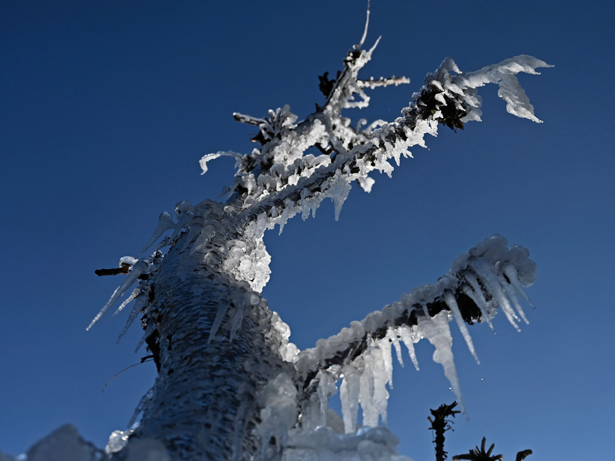 Heavy Snowfall In Jammu Kashmir Photo Gallery - Sakshi17
