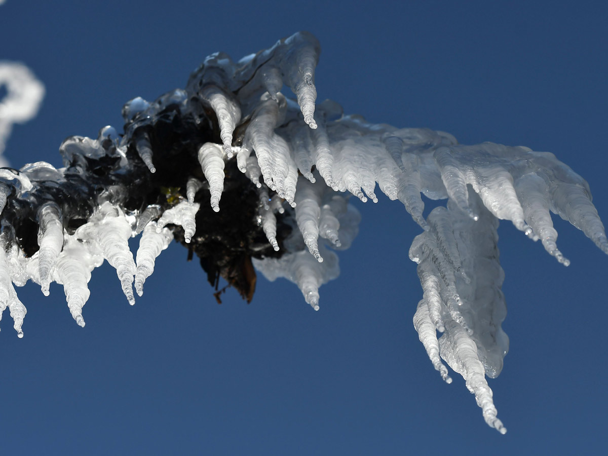 Heavy Snowfall In Jammu Kashmir Photo Gallery - Sakshi19