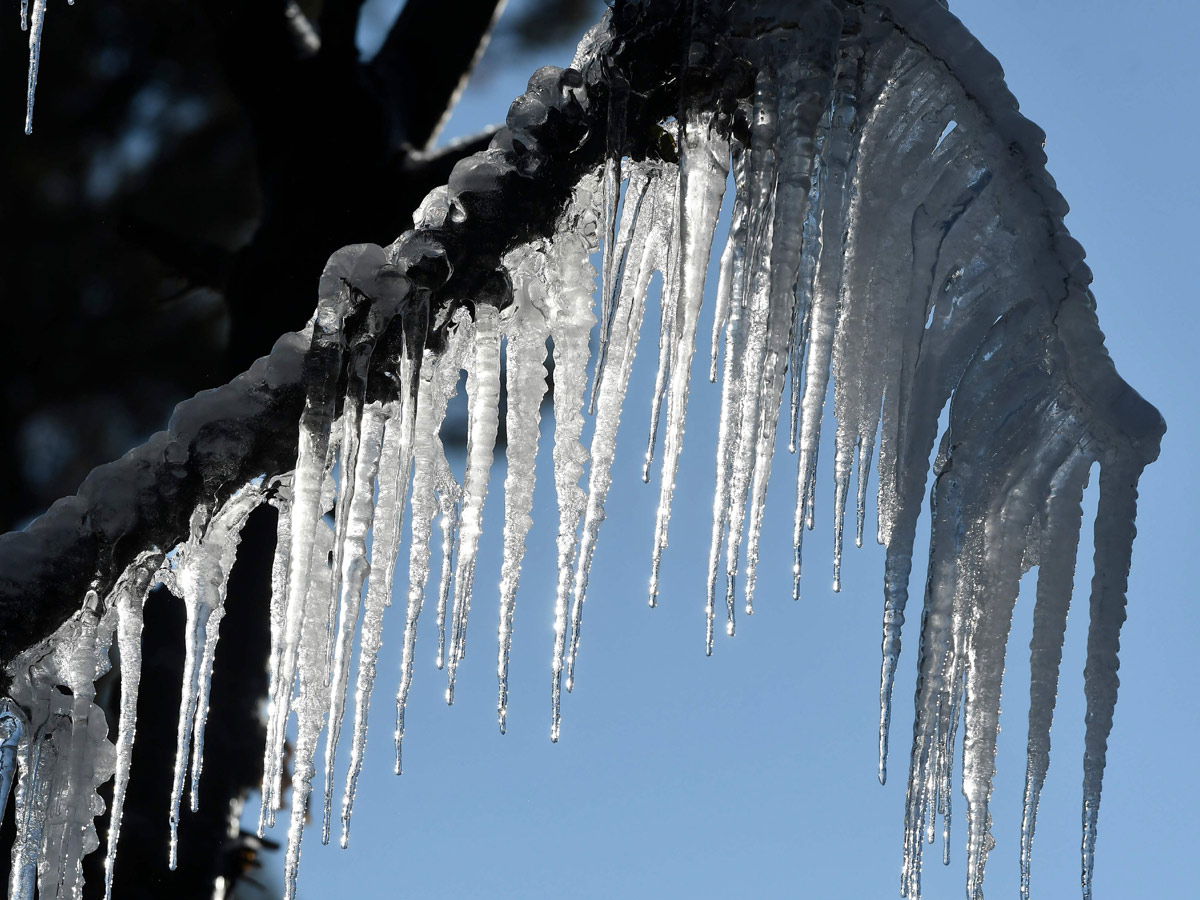 Heavy Snowfall In Jammu Kashmir Photo Gallery - Sakshi20