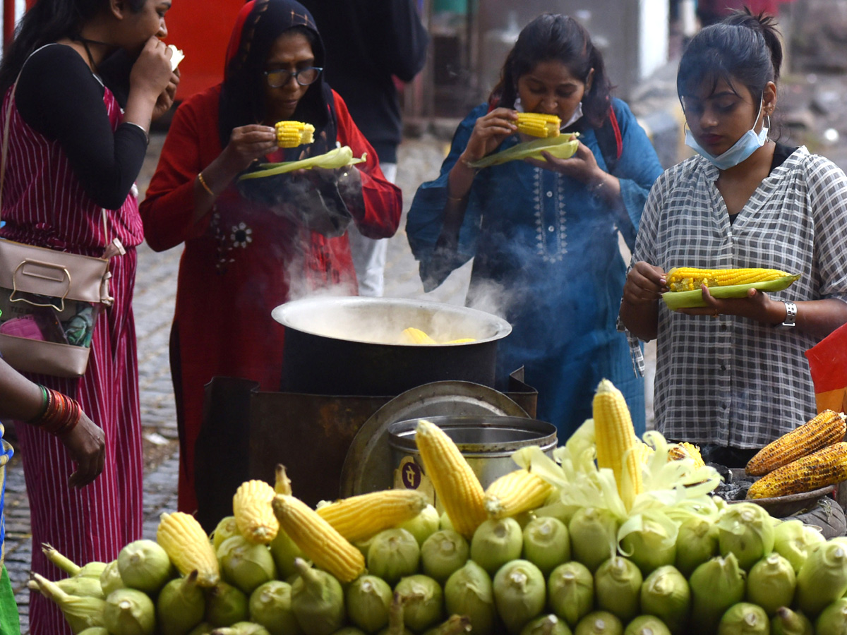 Best photos of the week january 10 to  january 17,2021 Photo Gallery - Sakshi10