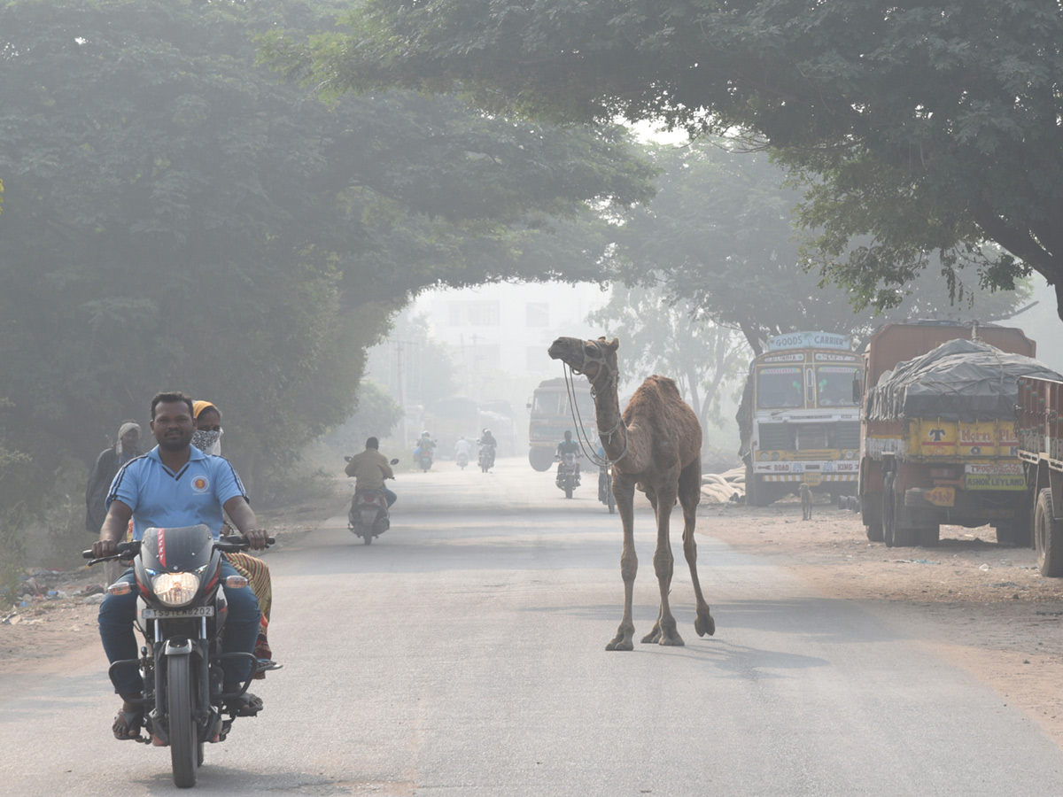 Best photos of the week january 10 to  january 17,2021 Photo Gallery - Sakshi27