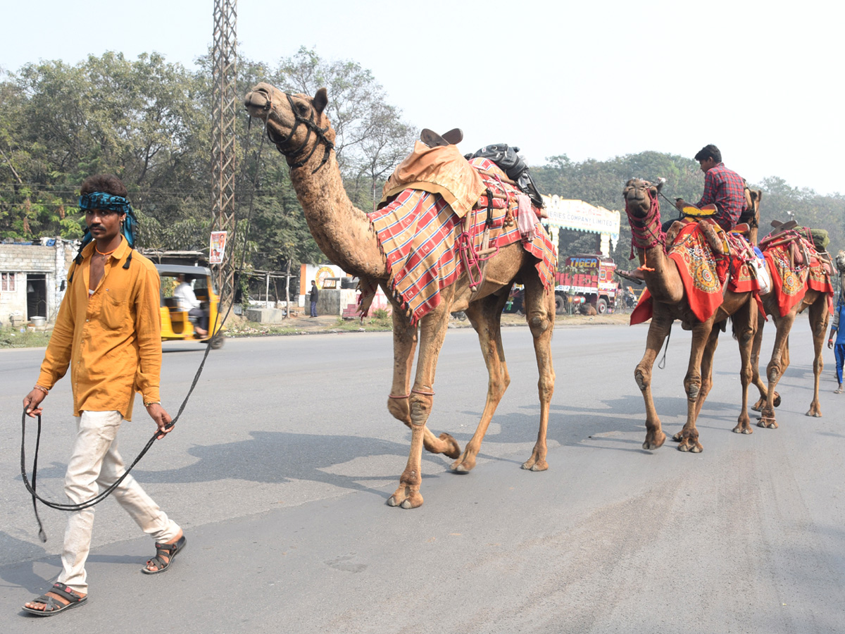 Best photos of the week january 10 to  january 17,2021 Photo Gallery - Sakshi28