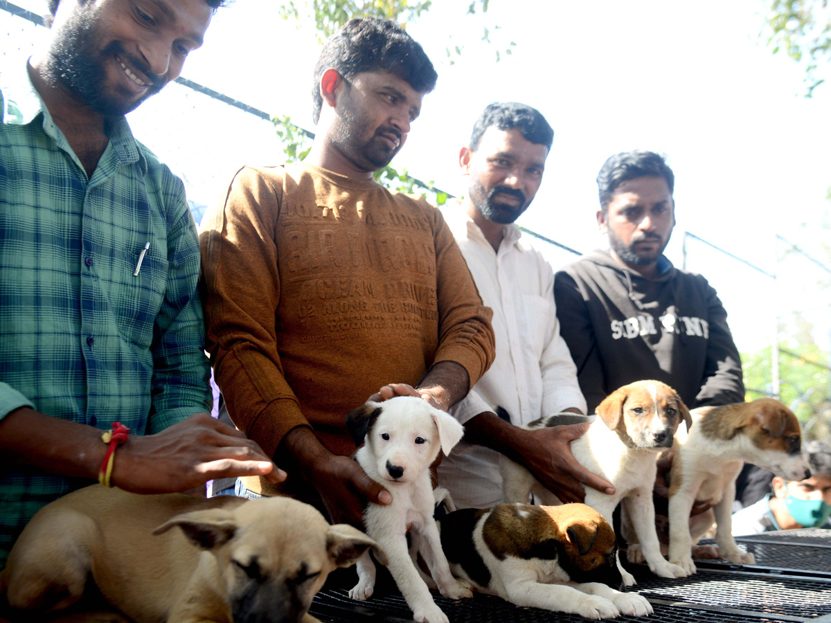 Best photos of the week january 10 to  january 17,2021 Photo Gallery - Sakshi8