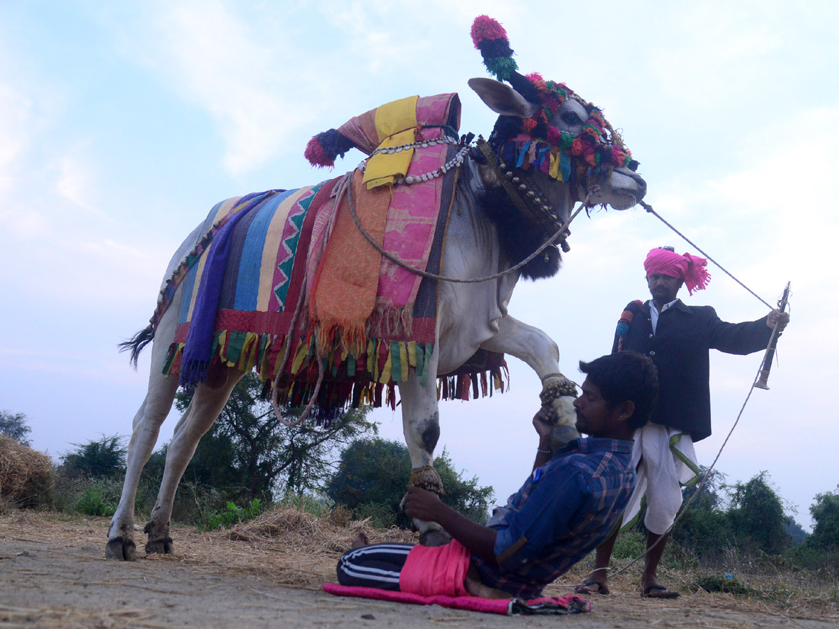 Best photos of the week january 17 to january 24,2021 Photo Gallery - Sakshi18