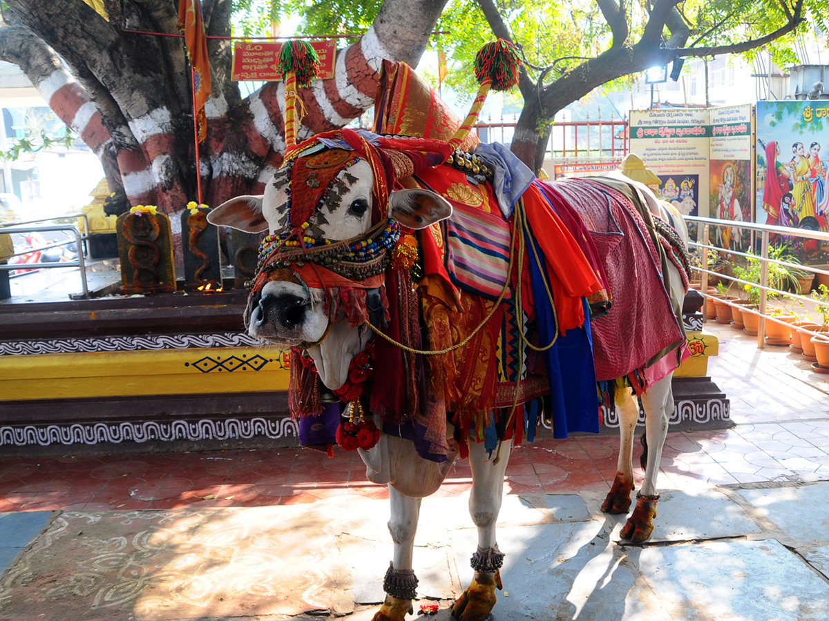 Best photos of the week january 17 to january 24,2021 Photo Gallery - Sakshi25