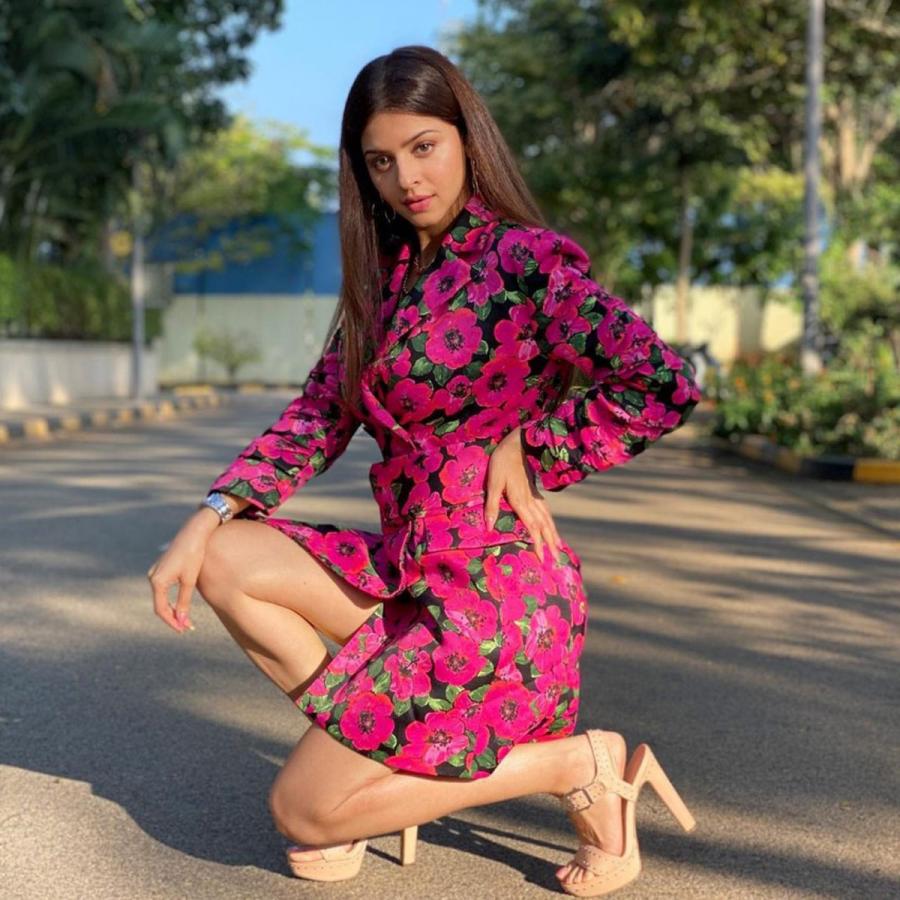 Vedhika Kumar Latest New Photos - Sakshi12