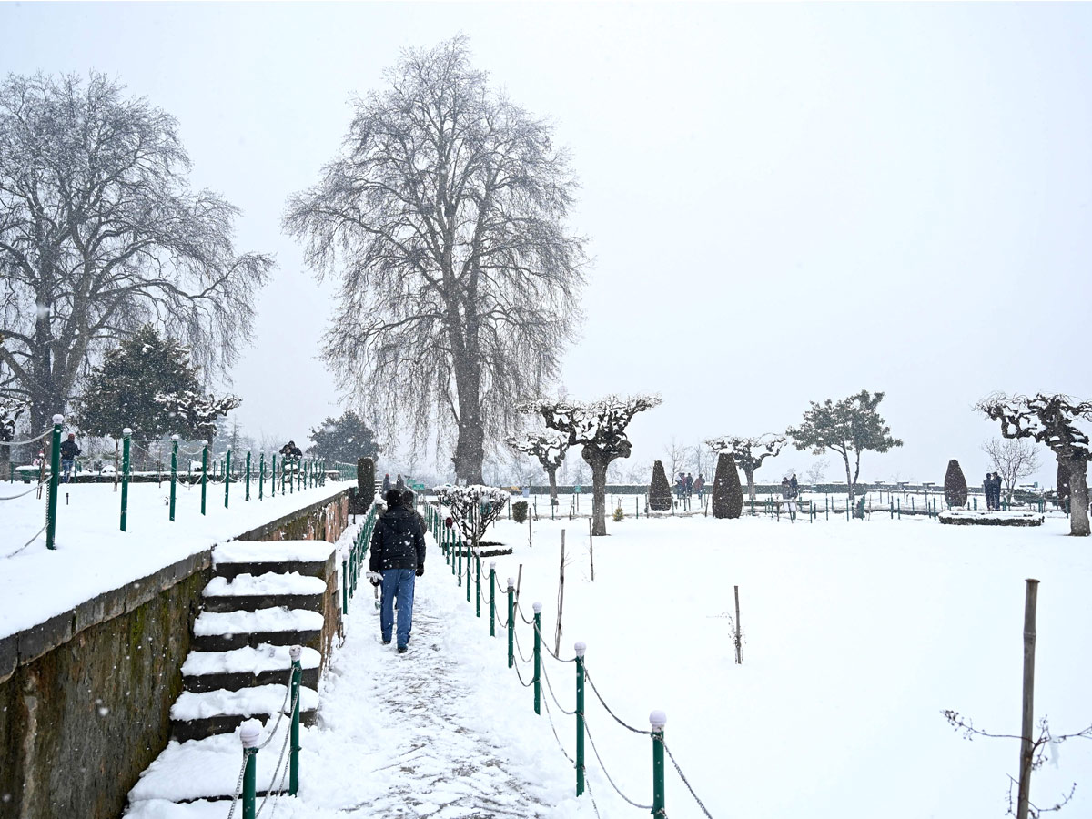 Gulmarg turns white as Kashmir receives fresh snowfall photo gallery - Sakshi9