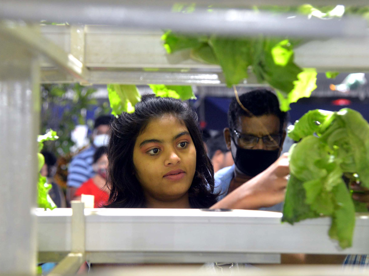 Harish Rao Inaugurates Grand Nursery Mela at People's Plaza - Sakshi11