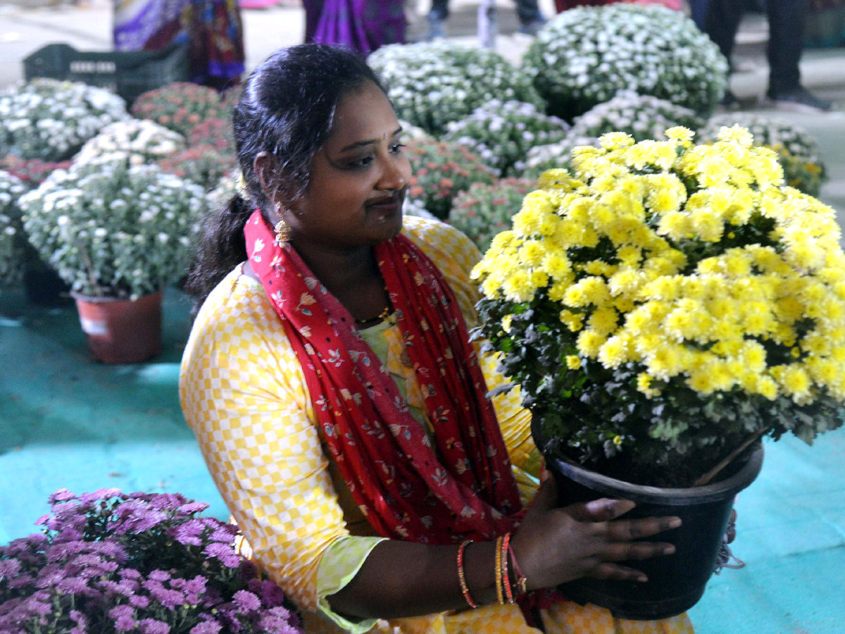 Harish Rao Inaugurates Grand Nursery Mela at People's Plaza - Sakshi1
