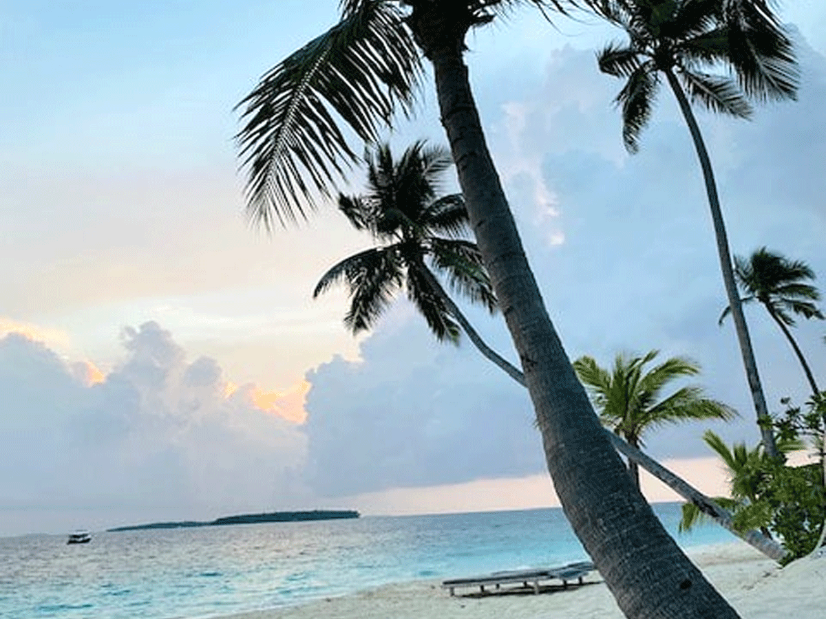 Akkineni Nagarjuna Amala Enjoying In Maldives - Sakshi2
