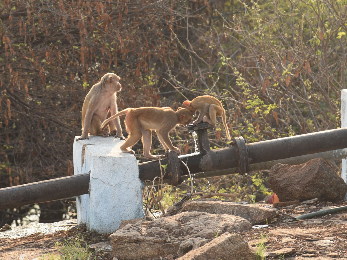 Best photos of the week february 21 to february 28,2021 Photo Gallery - Sakshi39