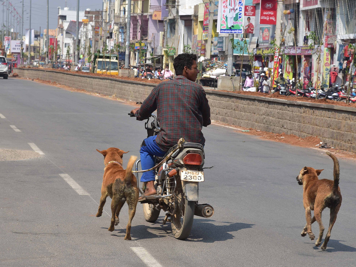 Best photos of the week february 21 to february 28,2021 Photo Gallery - Sakshi7